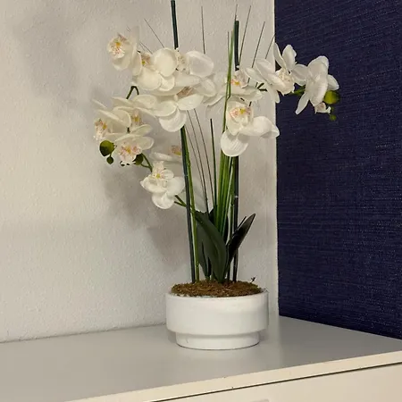 Apartament El Pasaje Oviedo