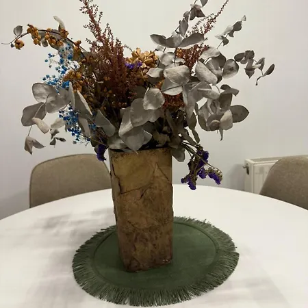 El Pasaje Apartament *