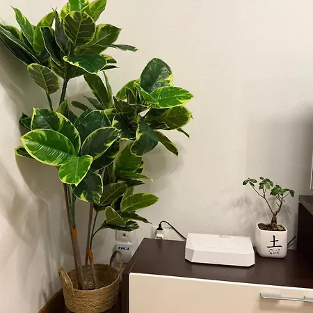 Apartament El Pasaje *